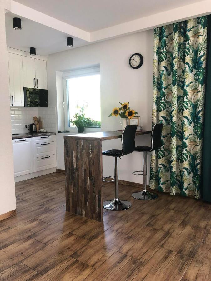 Apartamento Dom na Borówkowym Wzgórzu Palesnica Exterior foto